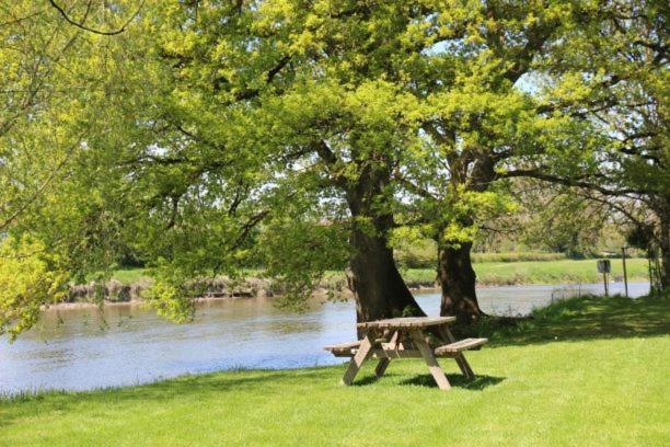 Camping Des 2 Rives- Chambres Etang-sur-Arroux Esterno foto